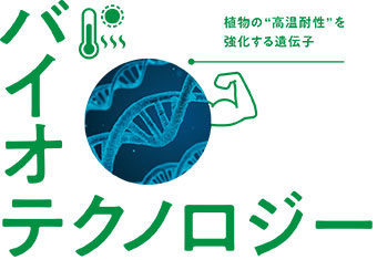 バイオテクノロジー 植物の“高温耐性”を強化する遺伝子